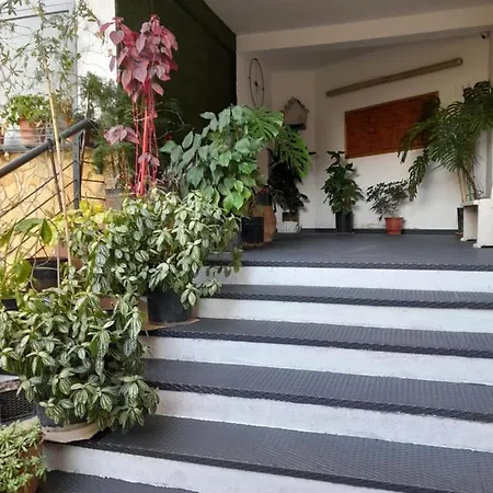 Kristi 03 公寓 地拉那